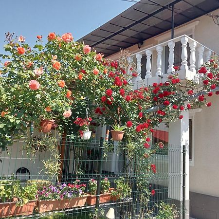 Jj Zavoi Villa โอเริชติเย ภายนอก รูปภาพ