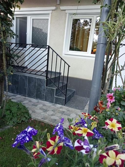 Jj Zavoi Villa โอเริชติเย ภายนอก รูปภาพ