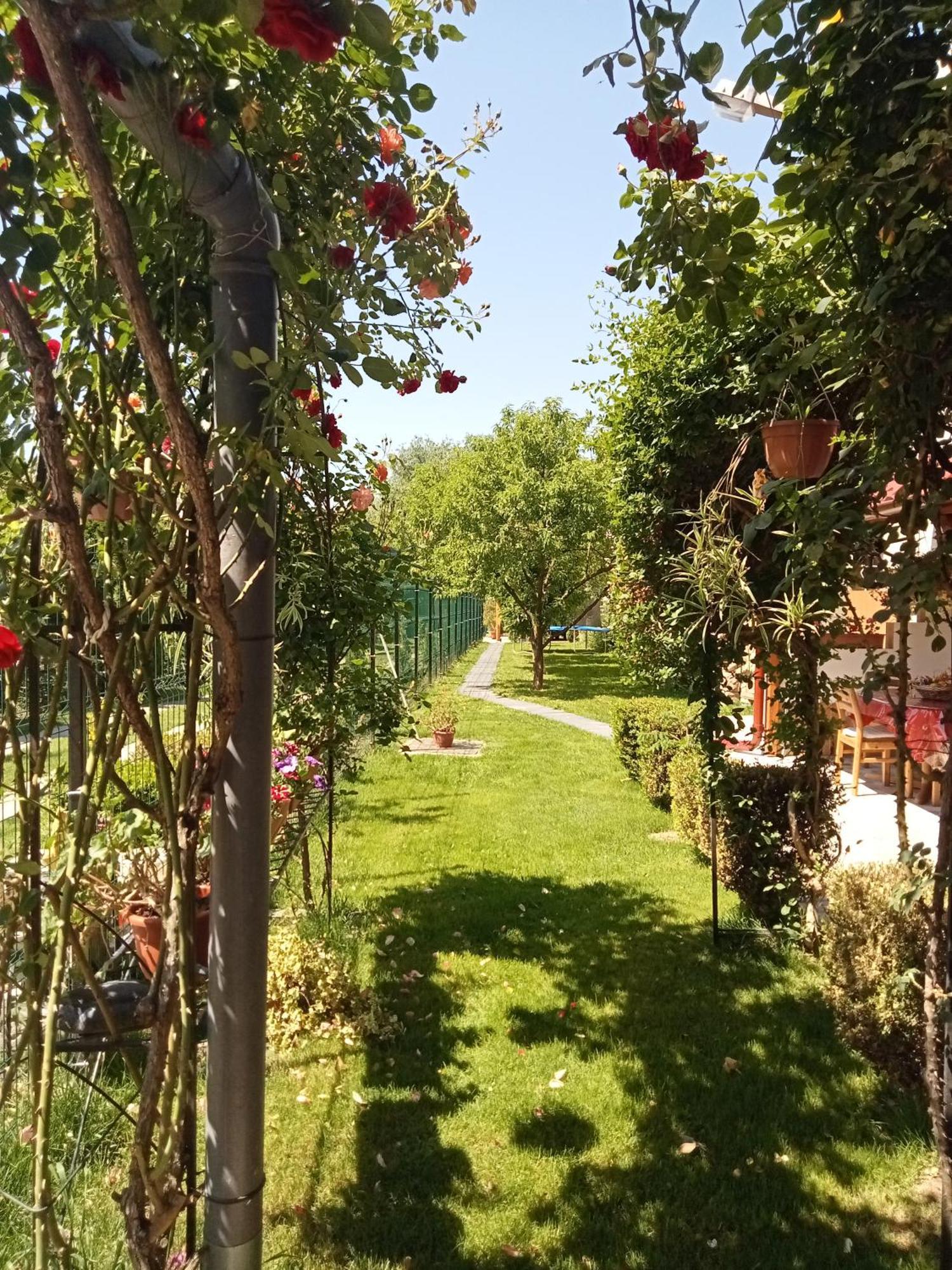 Jj Zavoi Villa โอเริชติเย ภายนอก รูปภาพ