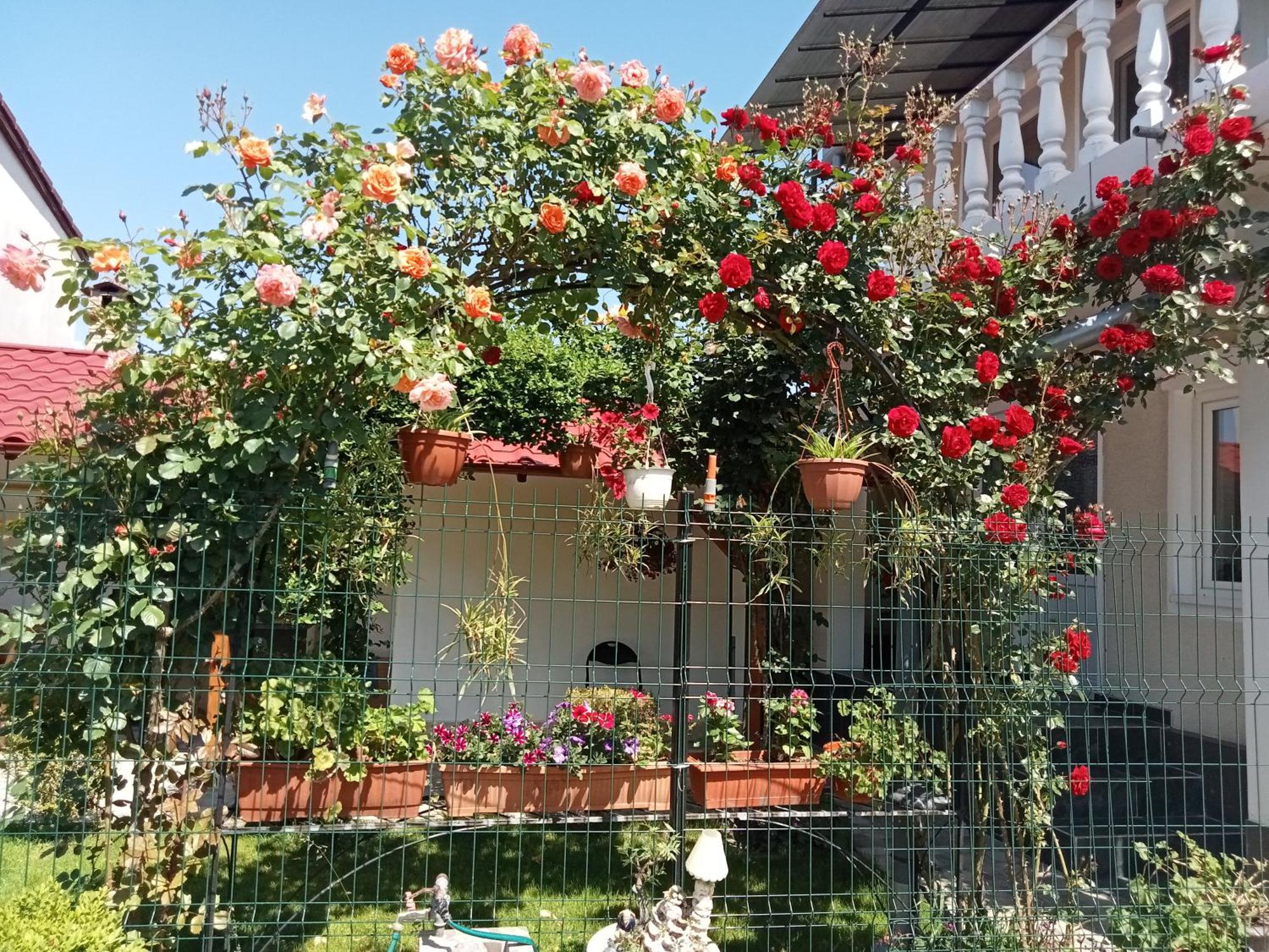 Jj Zavoi Villa โอเริชติเย ภายนอก รูปภาพ
